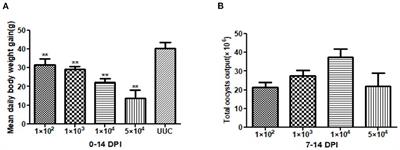 Study on the pathogenicity, immunogenicity, endogenous development and drug sensitivity of Eimeria kongi